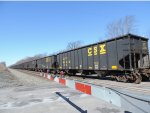 CSX coal cars 